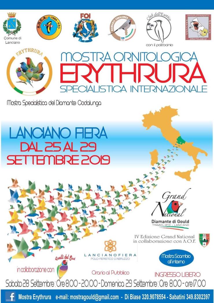 PHOTO-2019-07-30-08-34-06